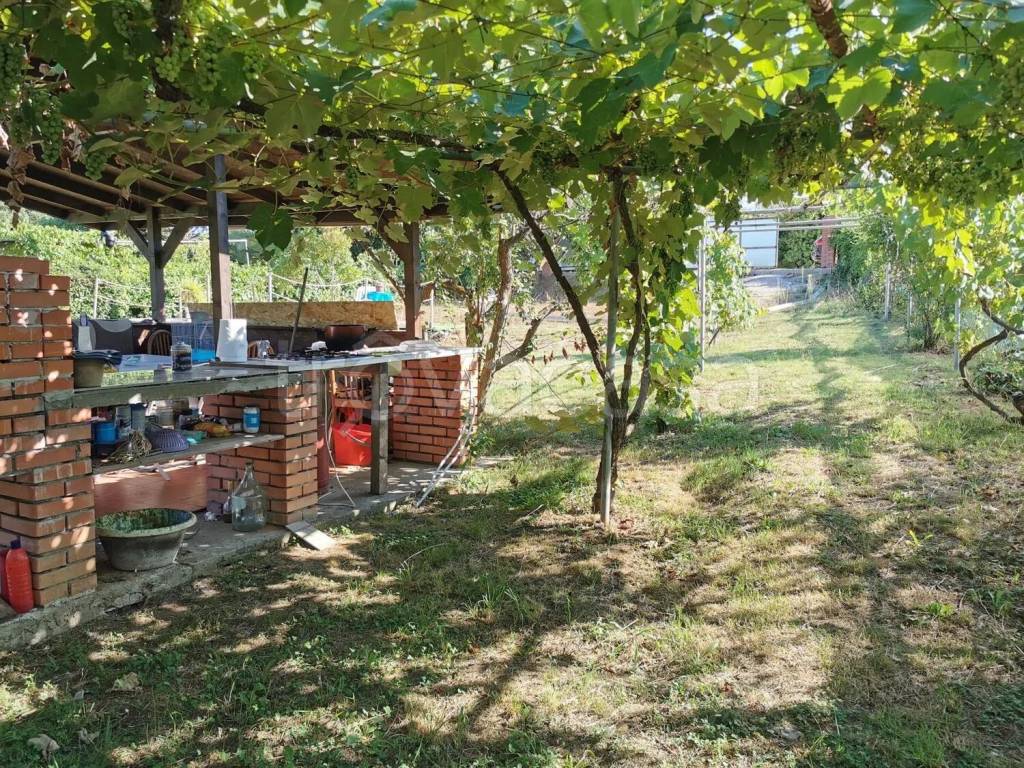 immagine annuncio 1 di 7