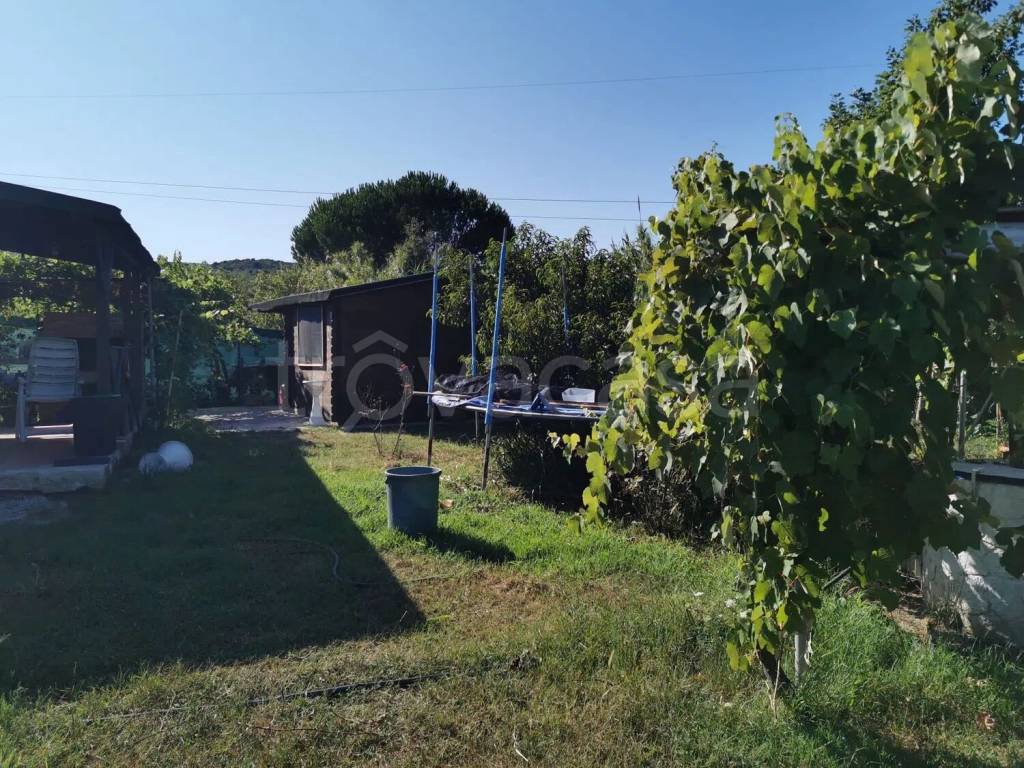 immagine annuncio 2 di 7