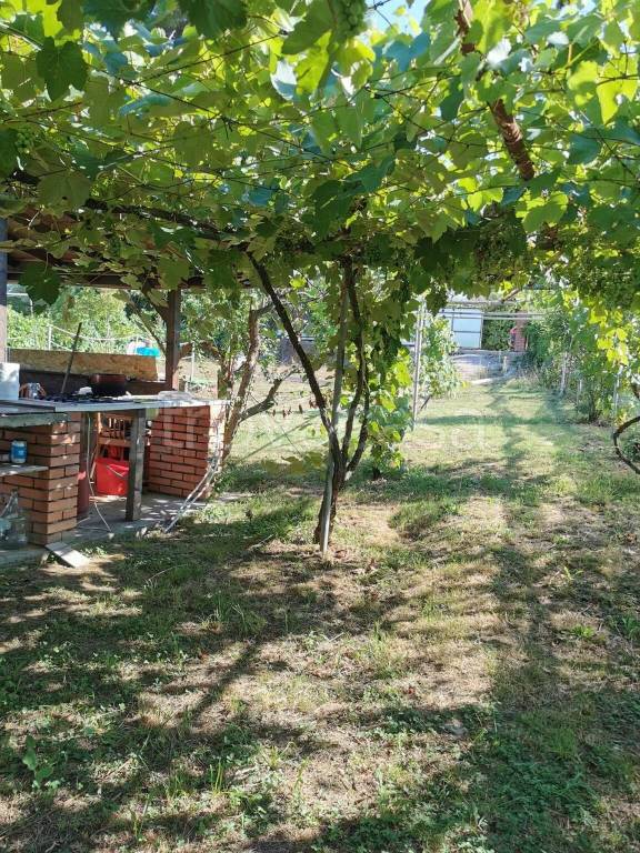 immagine annuncio 3 di 7