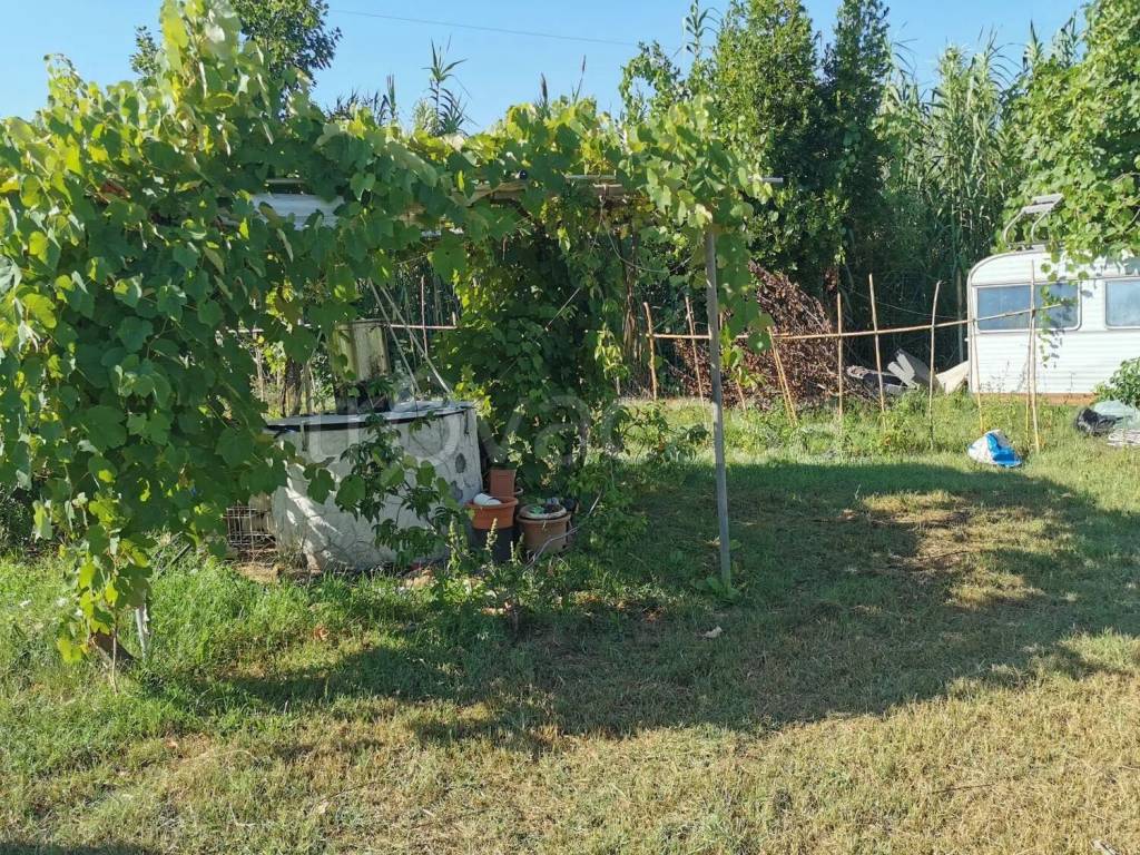 immagine annuncio 4 di 7