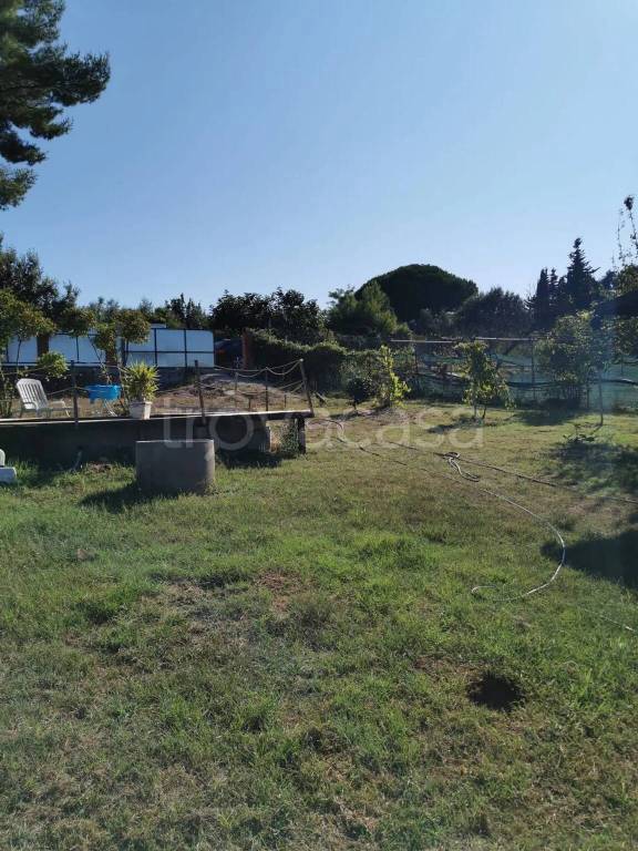 immagine annuncio 5 di 7