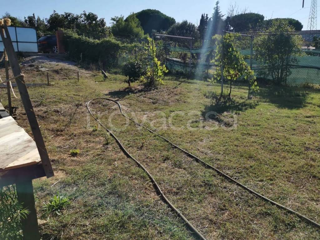 immagine annuncio 6 di 7