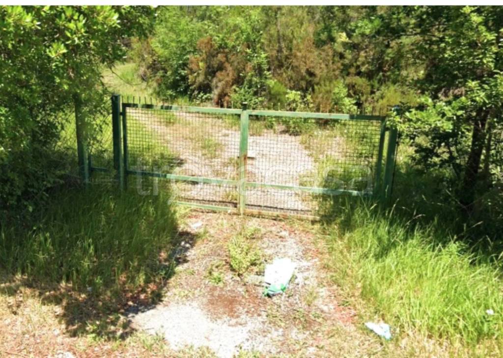 immagine annuncio 4 di 14