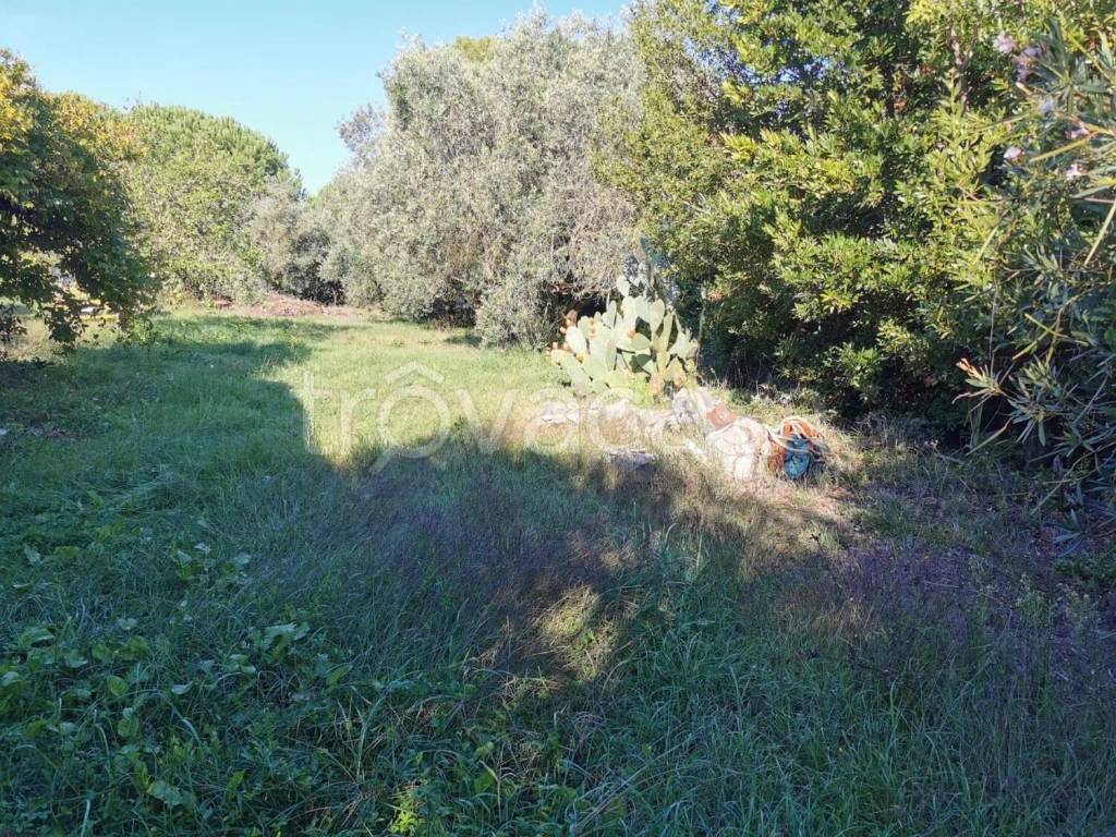 immagine annuncio 7 di 9