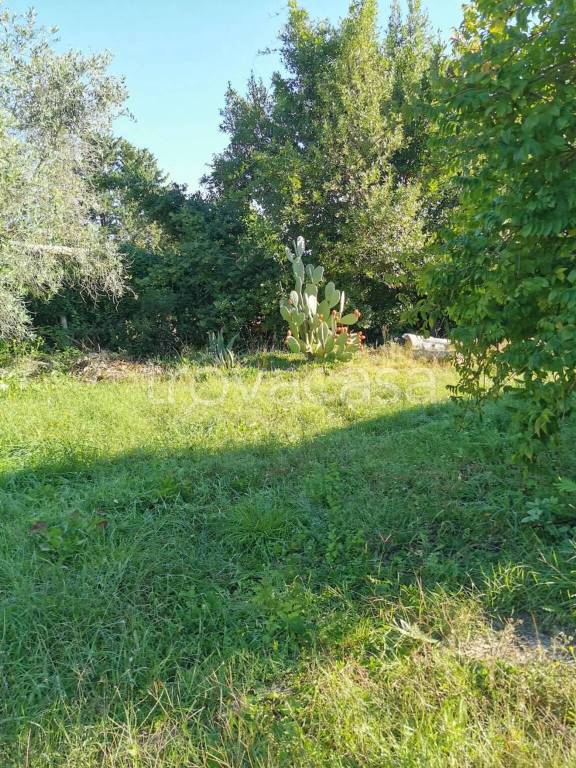 immagine annuncio 8 di 9