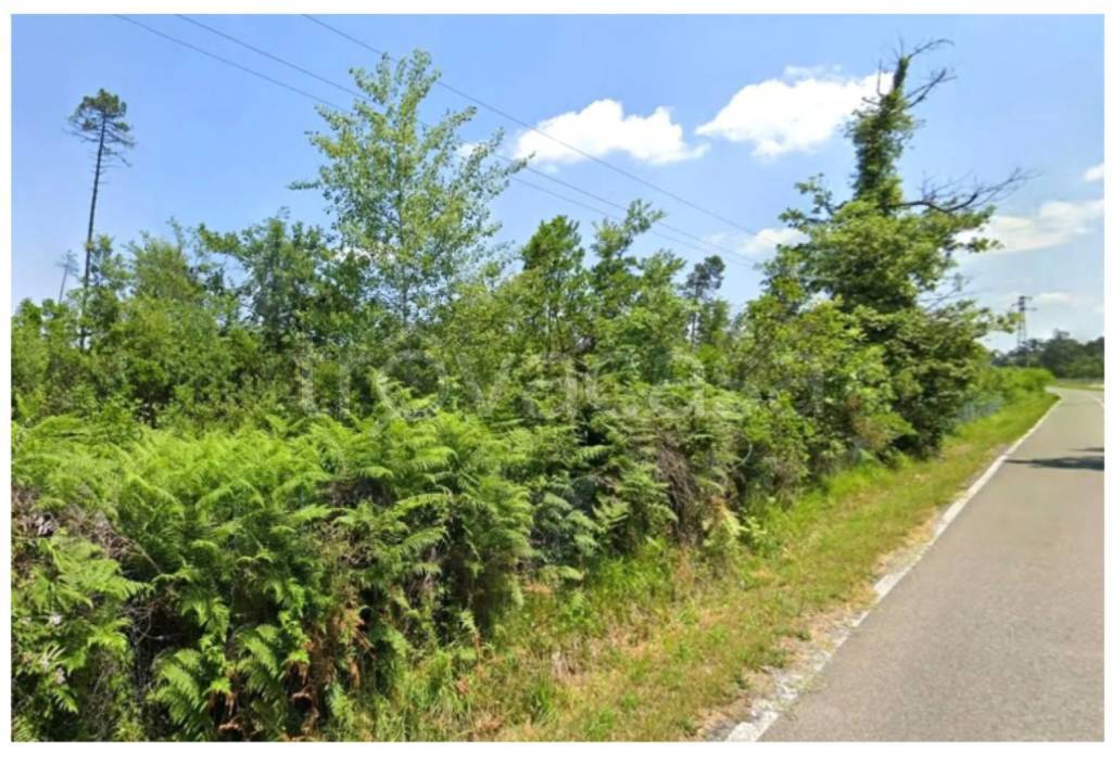 immagine annuncio 7 di 14