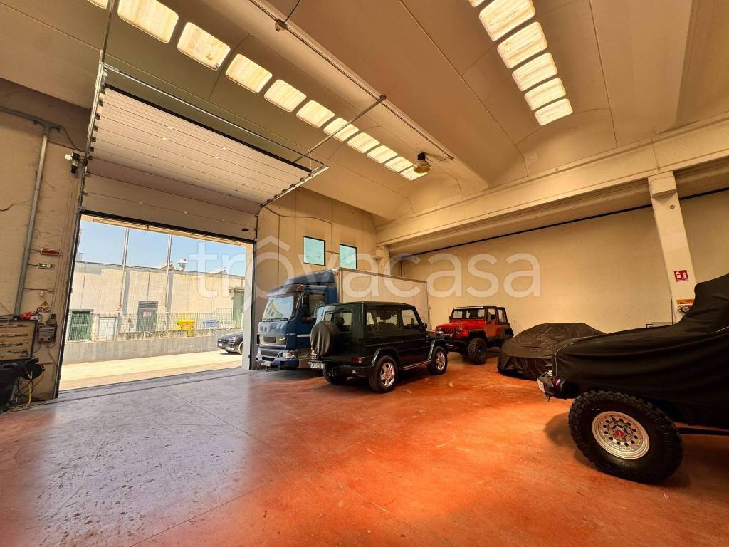 immagine annuncio 7 di 15