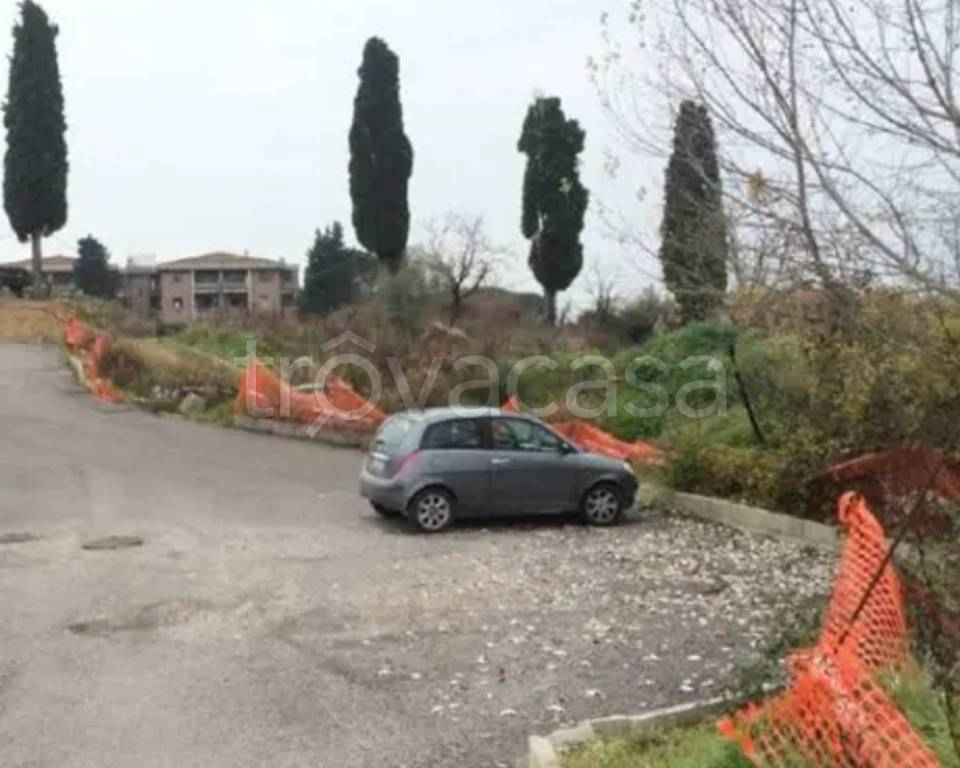 immagine annuncio 7 di 11