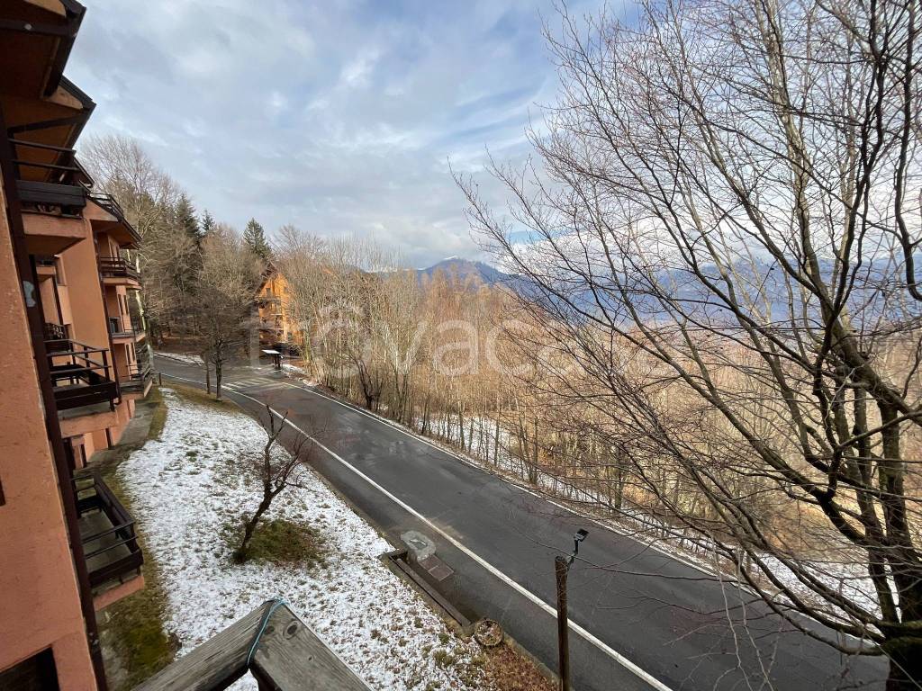 immagine annuncio 9 di 12