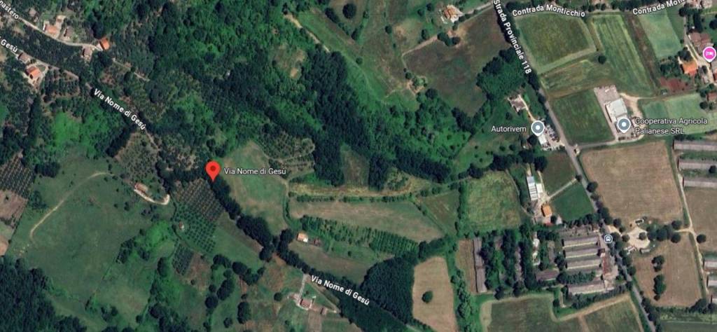 immagine annuncio 10 di 14