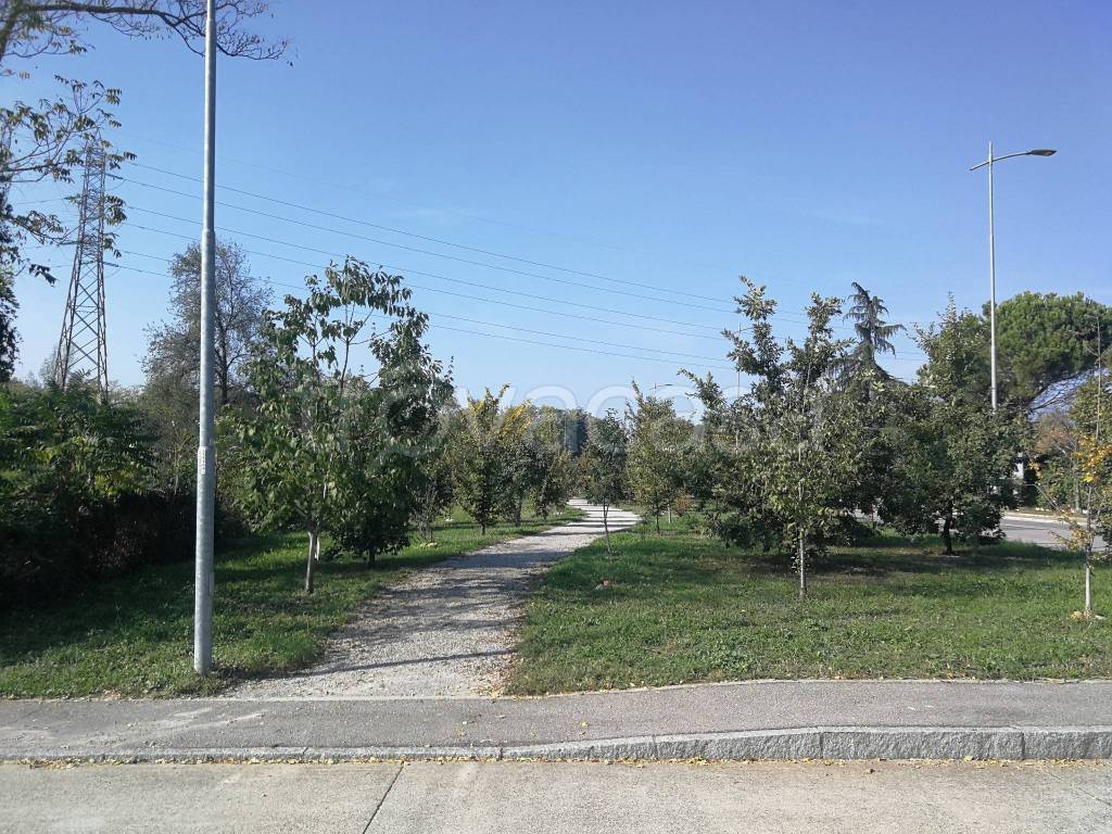 immagine annuncio 9 di 11