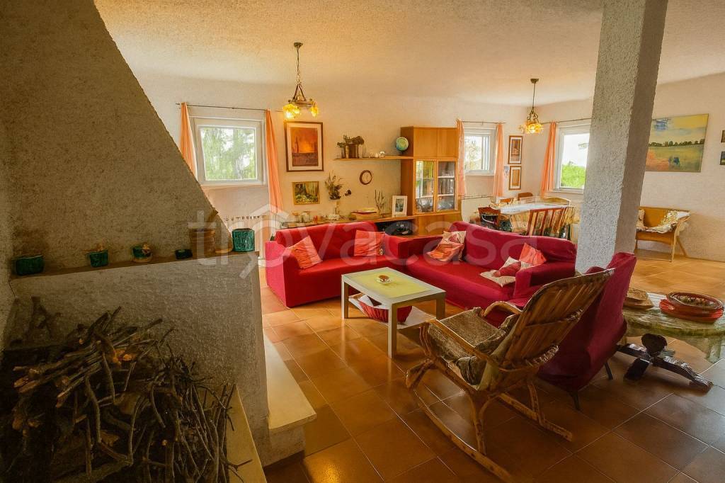 immagine annuncio 12 di 14