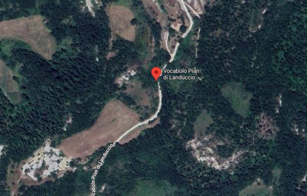 immagine annuncio 6 di 11