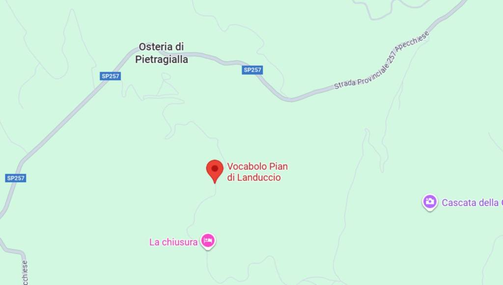 immagine annuncio 9 di 11