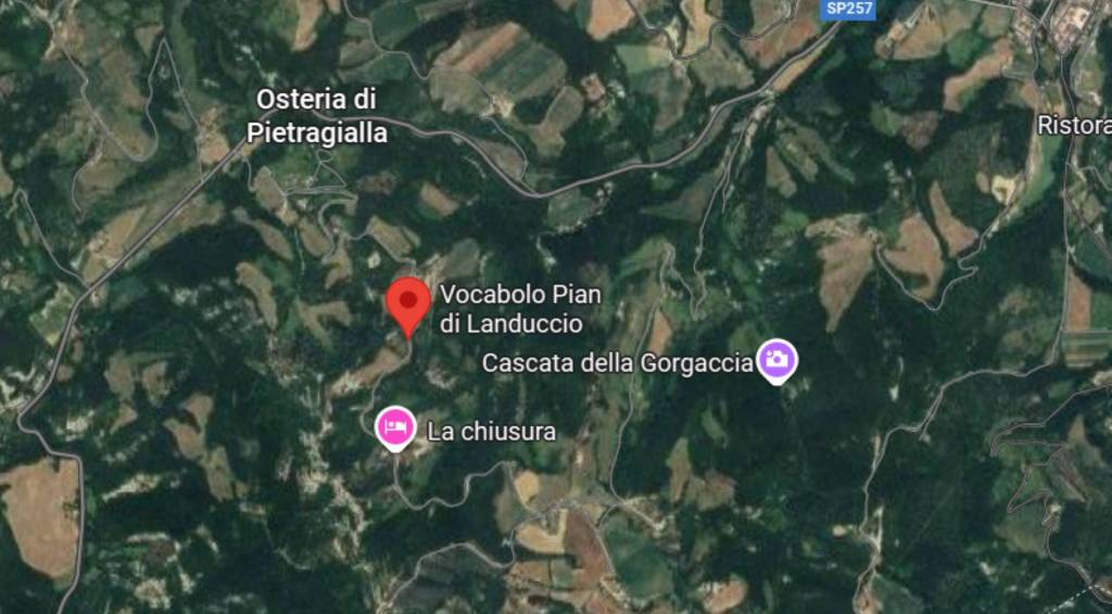 immagine annuncio 8 di 11