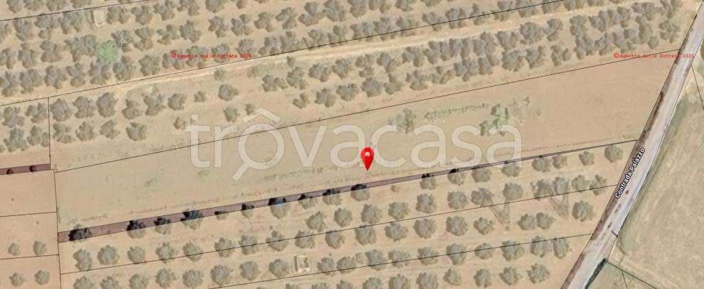 immagine annuncio 4 di 7