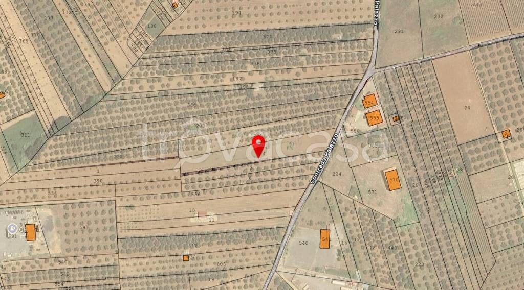 immagine annuncio 5 di 7