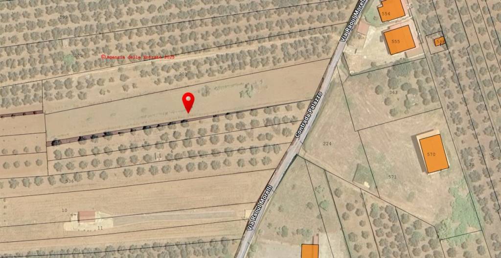 immagine annuncio 6 di 7