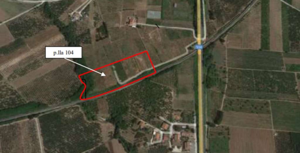 immagine annuncio 3 di 11