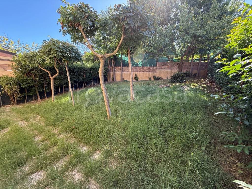 immagine annuncio 5 di 6