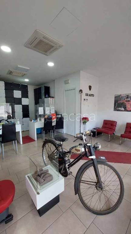 immagine annuncio 4 di 9