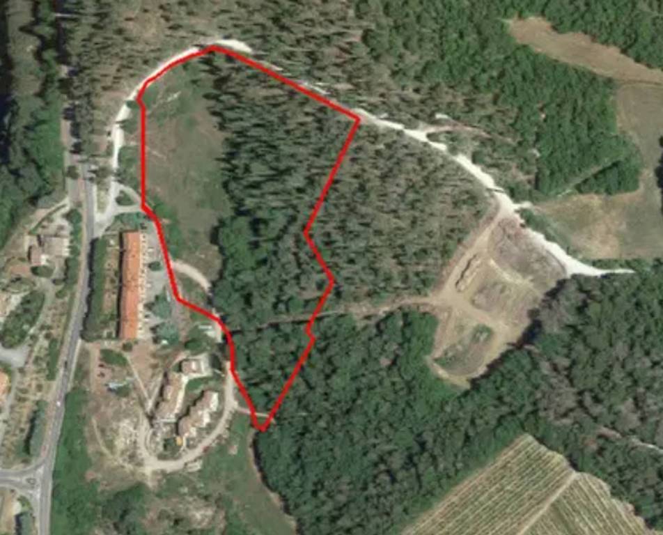 immagine annuncio 5 di 11