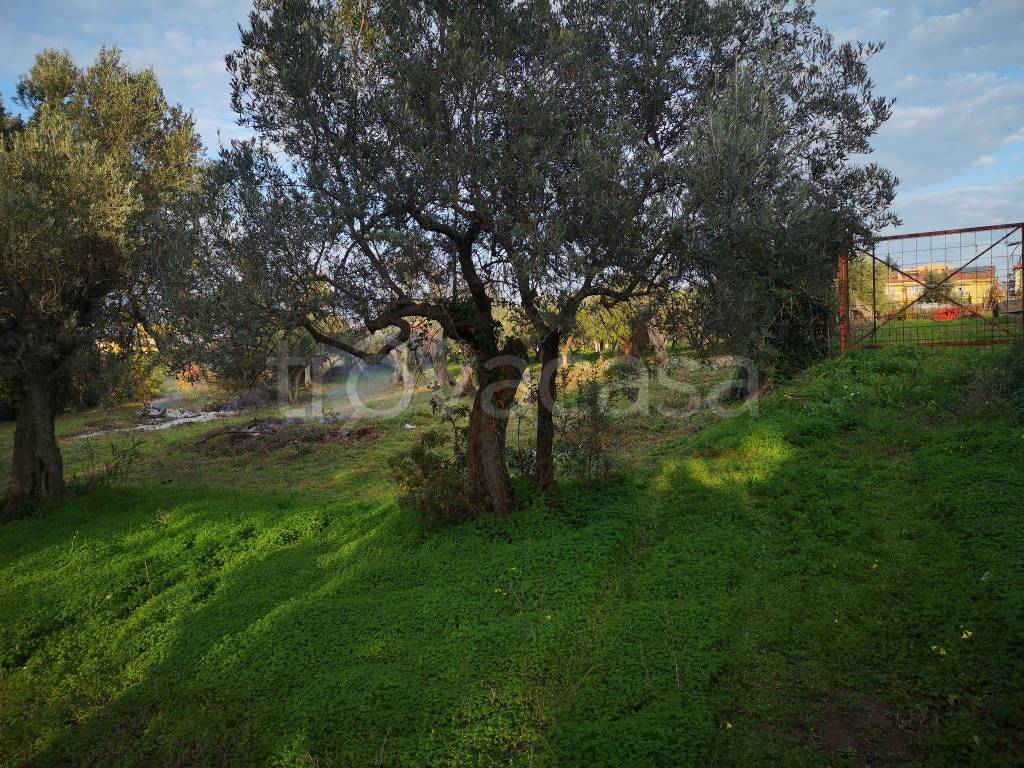 immagine annuncio 1 di 4