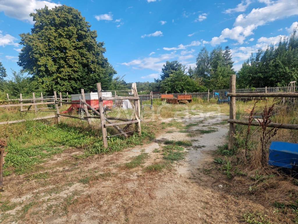 immagine annuncio 4 di 15