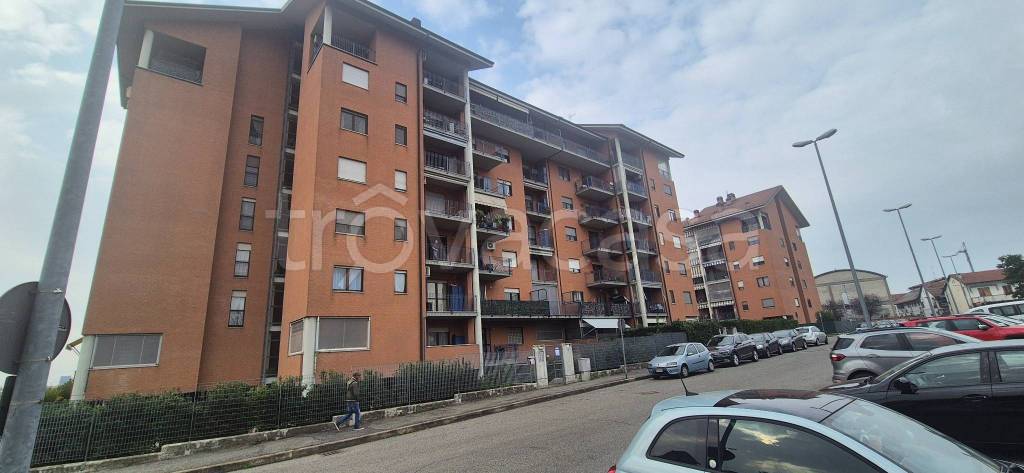 immagine annuncio 14 di 15