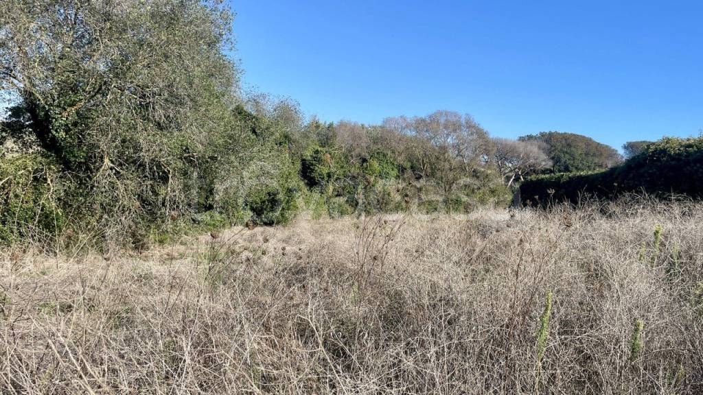 immagine annuncio 4 di 7