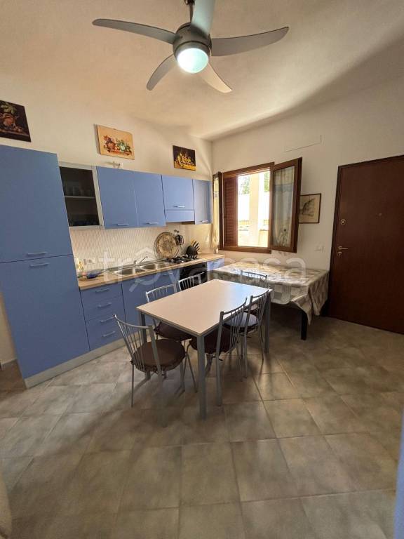 immagine annuncio 6 di 14