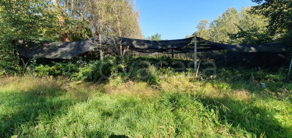 immagine annuncio 5 di 9