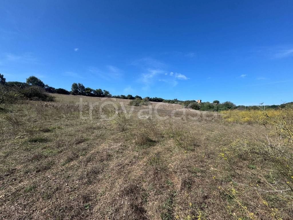 immagine annuncio 4 di 7