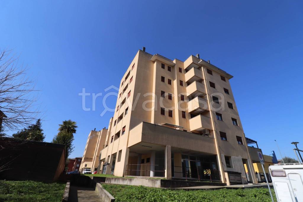 immagine annuncio 5 di 6