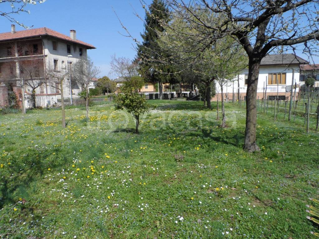 immagine annuncio 4 di 7