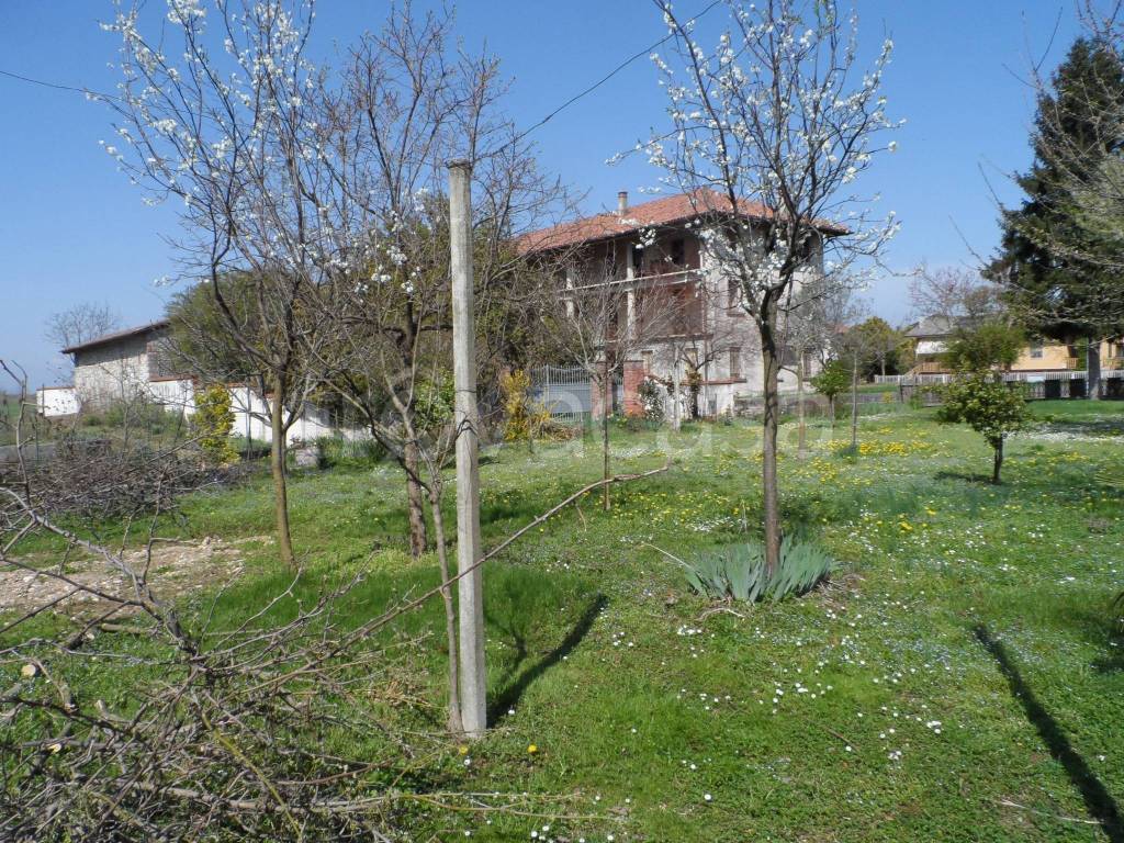 immagine annuncio 5 di 7