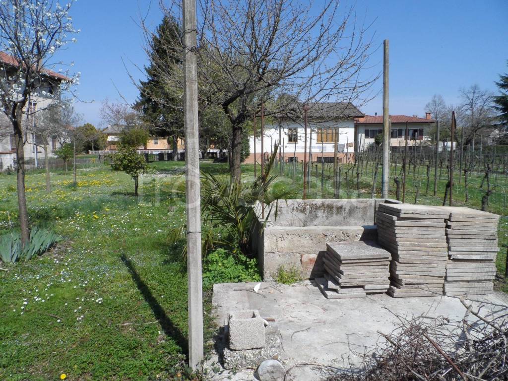 immagine annuncio 6 di 7