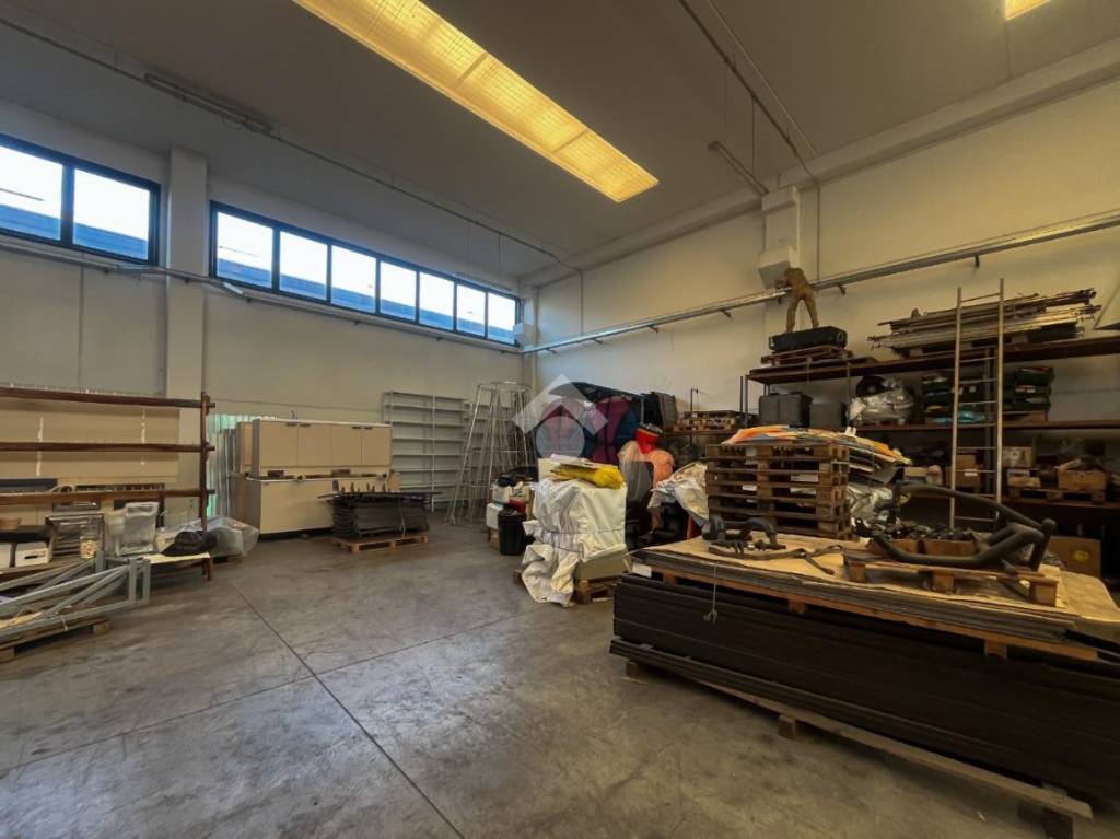 immagine annuncio 10 di 15