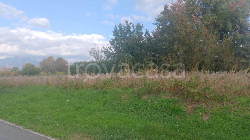 immagine annuncio 2 di 4