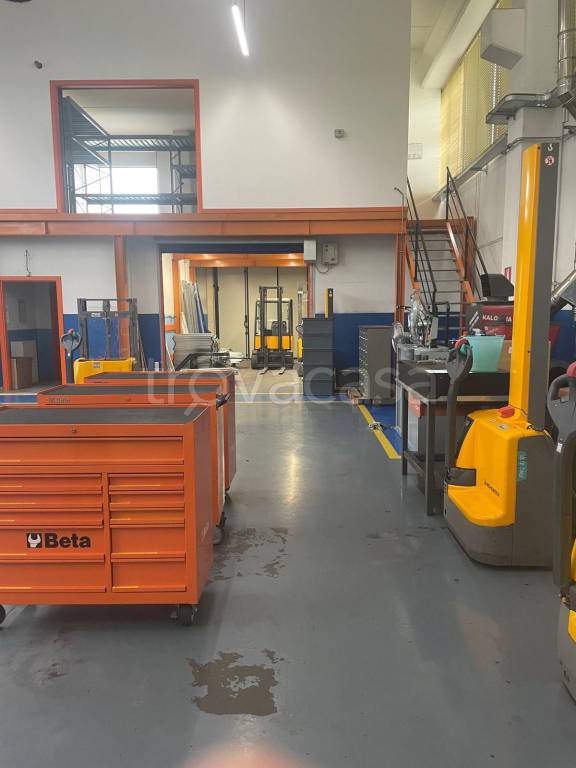 immagine annuncio 5 di 6