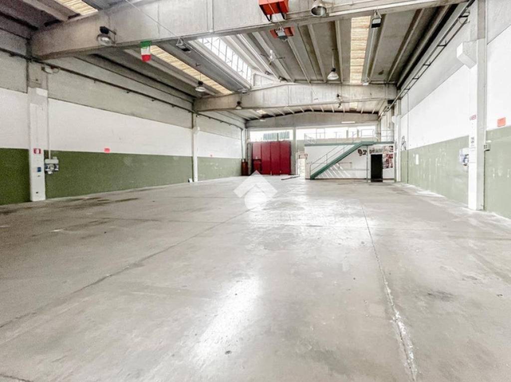 immagine annuncio 4 di 15