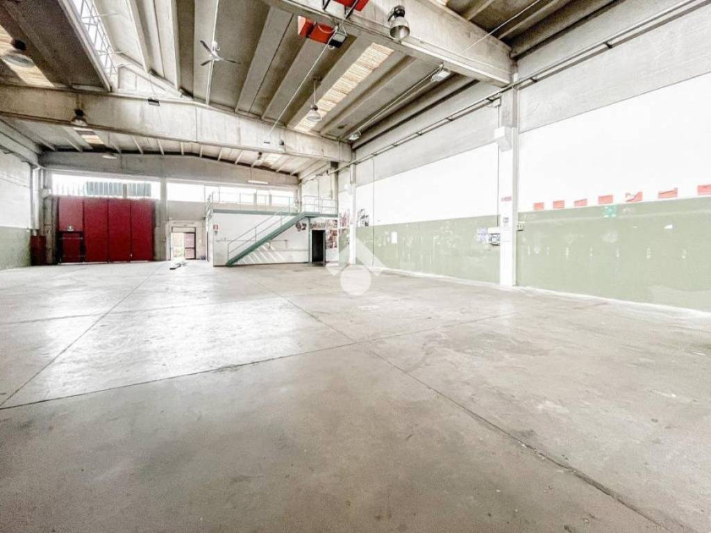 immagine annuncio 9 di 15