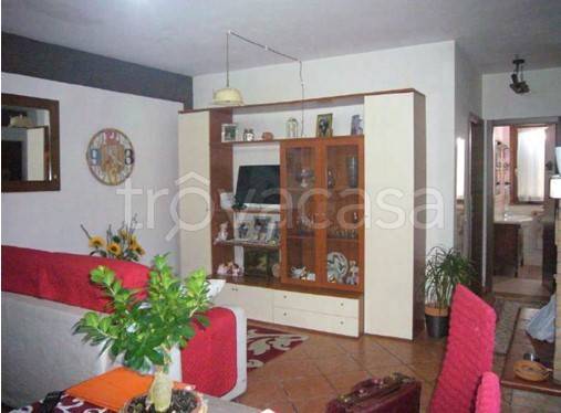 immagine annuncio 9 di 14