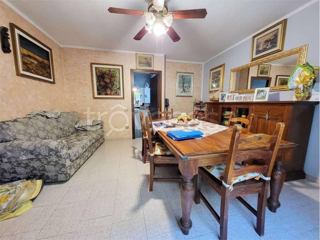 immagine annuncio 6 di 14