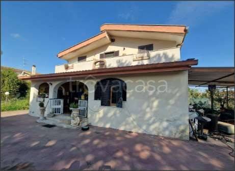 immagine annuncio 1 di 7