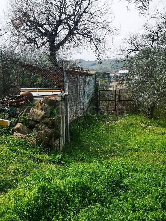 immagine annuncio 3 di 4