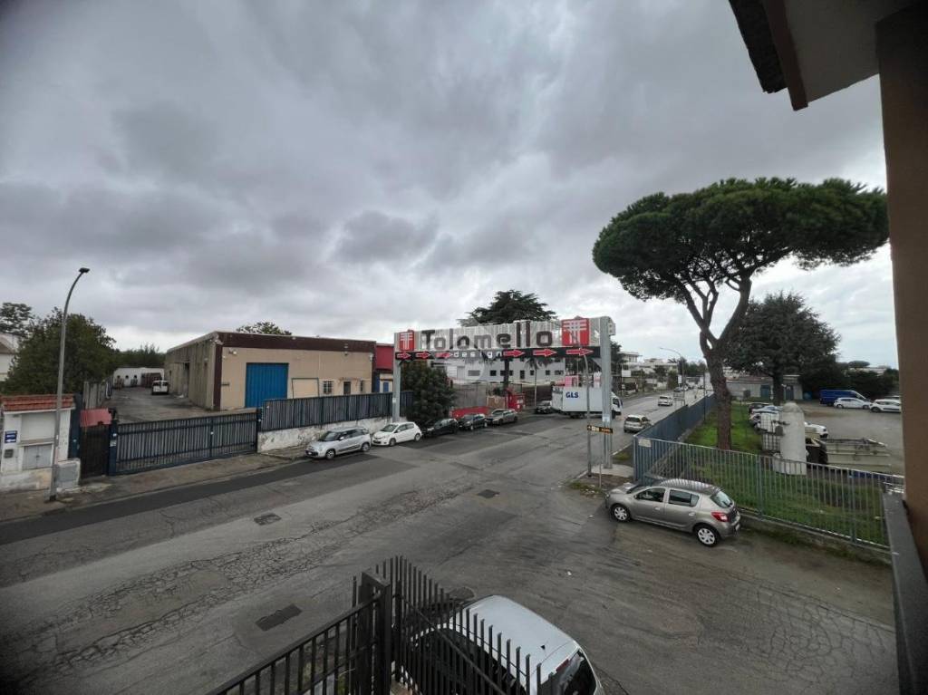 immagine annuncio 1 di 14