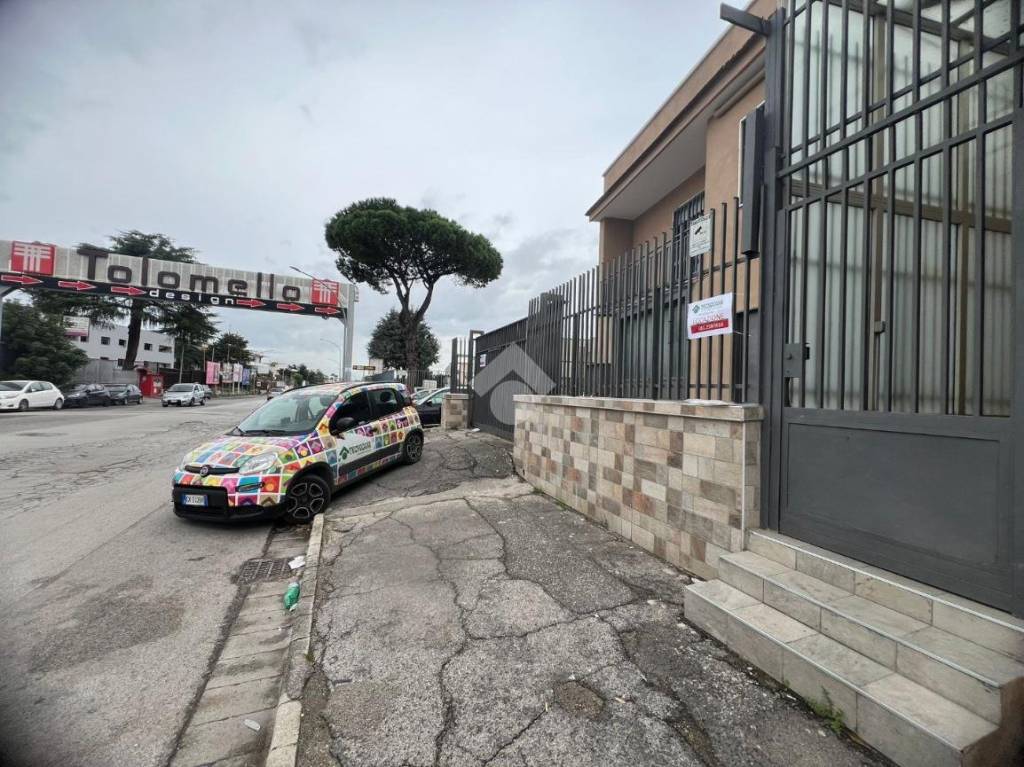 immagine annuncio 3 di 14