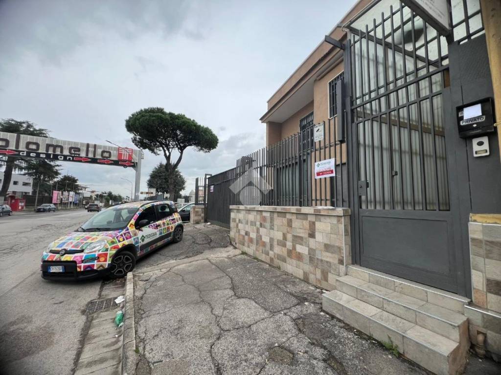 immagine annuncio 6 di 14