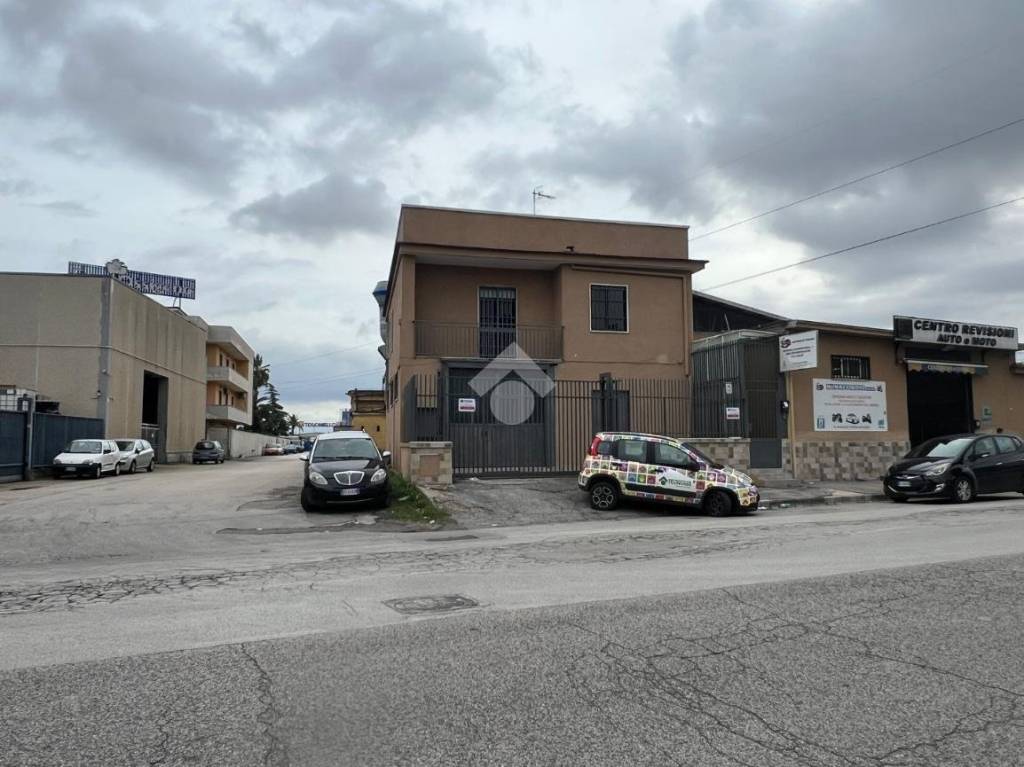 immagine annuncio 11 di 14